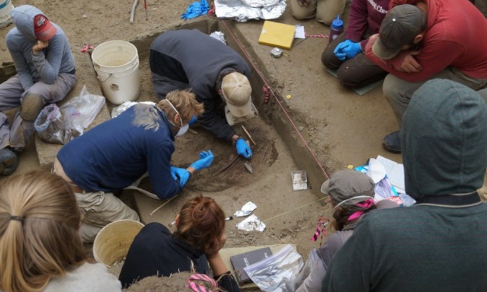 https://maternityweek.com/wp-content/uploads/2020/01/9..Ancient-Infants-DNA.jpg